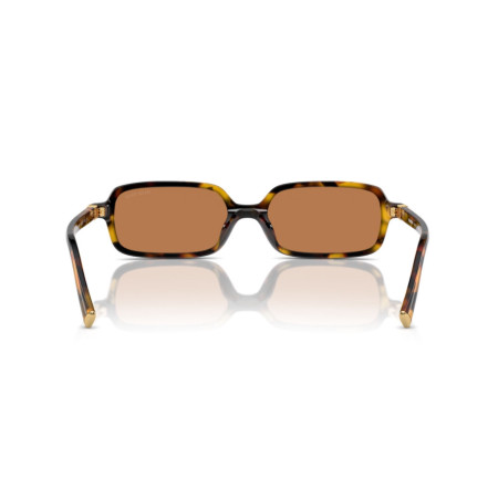 Miu Miu MU 11ZS (VAU2Z1) Коричневые