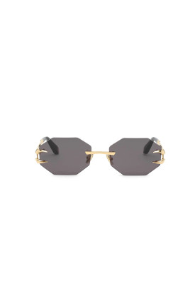 Roberto Cavalli SRC 005 300